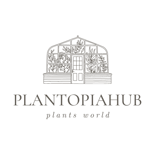 https://plantopiahub.s3.amazonaws.com/when-to-plant-garlic-in-tennessee/img/plantopiahub.png